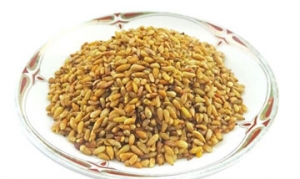 柏子仁 茶饮
