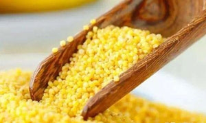 小米 小米锅巴 小米豆沙粑粑 南瓜小米糊 金瓜小米排骨