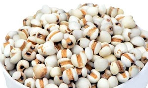 薏米 百果薏米木耳甜汤 薏米木耳甜汤 雪梨马蹄薏米糖水