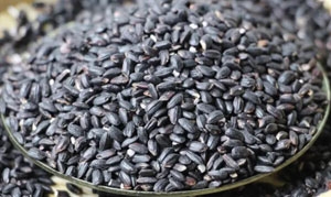 黑糯米 手指粽子 竹筒粽子 芒果黑米捞 黑糯米发面饼