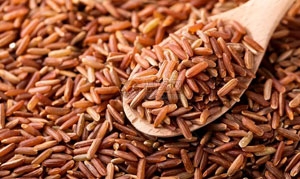 红米 四色米红枣粥 杂粮时蔬卷 腊八粥 三红豆浆