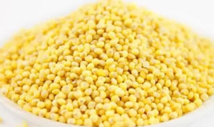 黄米 八宝乌米饭 大黄米粽子 蜜薯黄米饭 五红粥 年糕