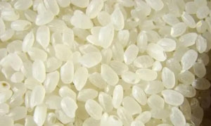 粳米 大枣山药粥 鸭子肉粥 养生杂粮饭 皮蛋瘦肉粥