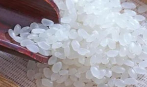 寿司米 熟虾寿司 寿司饭团 鲜贝寿司 三文鱼寿司卷