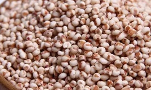 高粱米 豆钱钱三米粥 高粱米粽子 杂粮饭 绿豆高粱糊