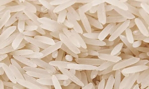 香米 腊味煲仔饭 海南鸡饭 杂粮米粥 菠菜瘦肉粥