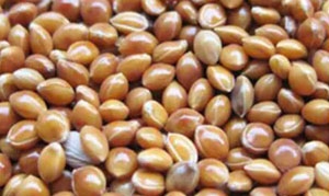 粟米 柠檬醋蟹球 水果腊八粥 缤纷南瓜饭 地瓜粟米粥